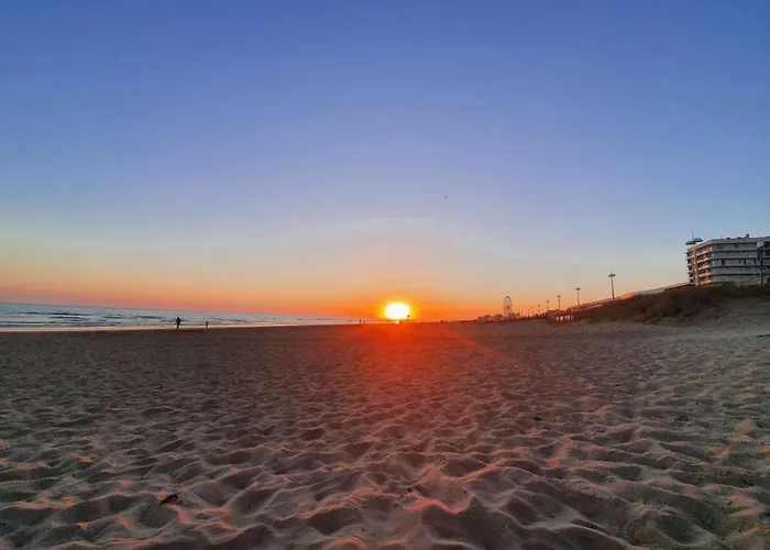 Sh180-032 - 4 Couchages - Saint Hilaire De Riez Appartement